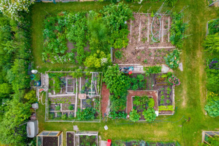5 Easy Ways to Build a Permaculture Community Garden Image